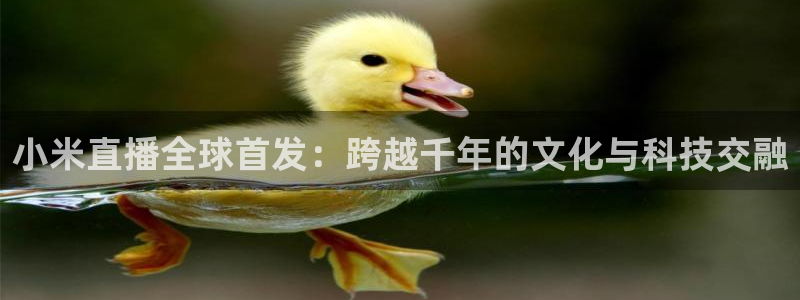 说球帝直播推荐