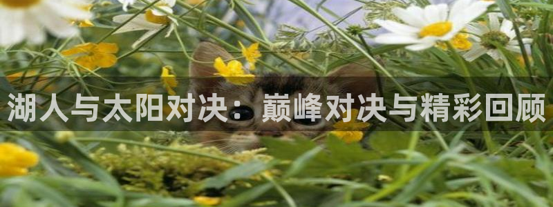 nba说球帝直播在线观看