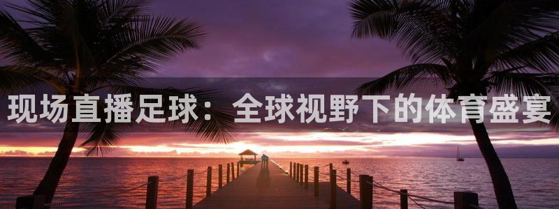 说球帝直播：现场直播足球：全球视野下的体育盛宴