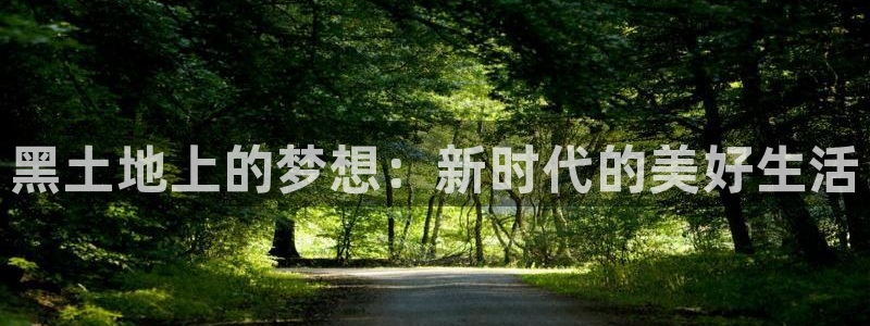 说球帝nba直播：黑土地上的梦想：新时代的美好生活