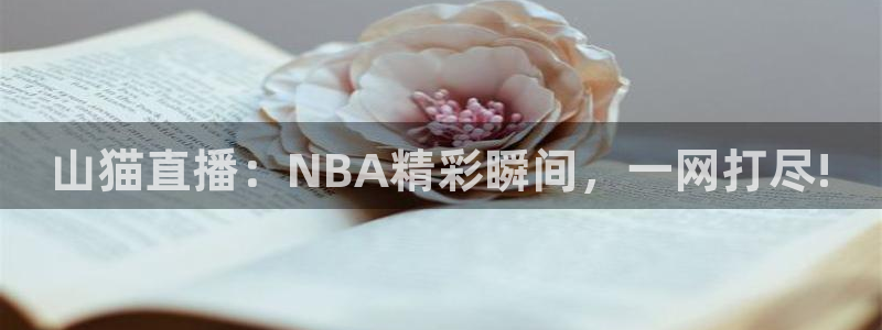 说球帝在线直播观看：山猫直播：NBA精彩瞬间，一网打尽!