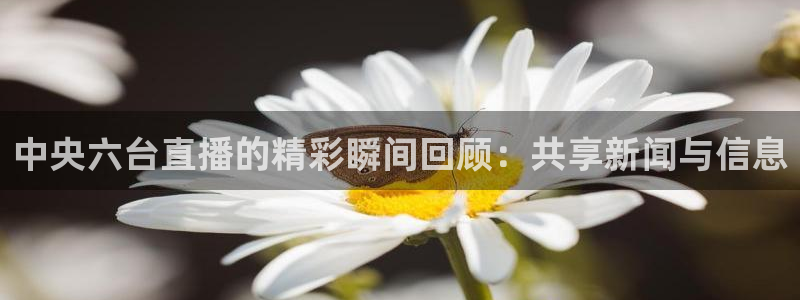 说球帝体育直播在线观看：中央六台直播的精彩瞬间回顾：共享新闻与信息