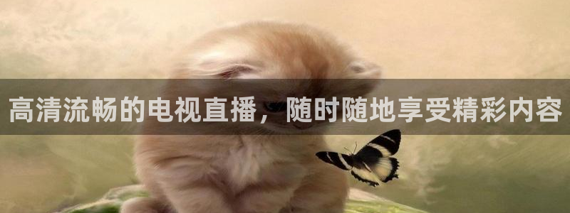 说球帝app下载：高清流畅的电视直播，随时随地享受精彩内容