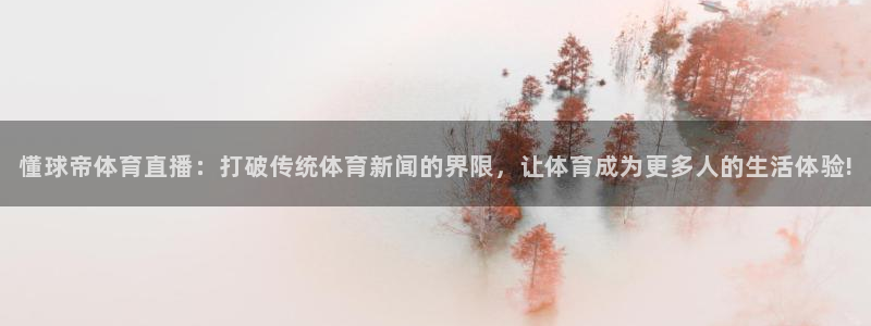 说球帝24小时直播在线观看：懂球帝体育直播：打破传统体育新闻的界限，让体育成为更多人的生活体验!