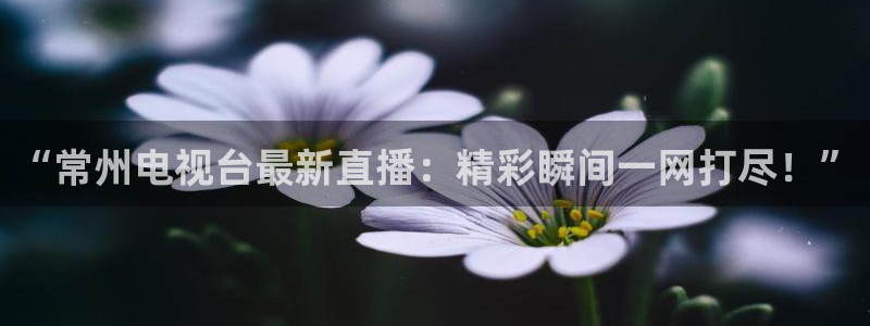 说球帝最新版免费直播：“常州电视台最新直播：精彩瞬间一网打尽！”