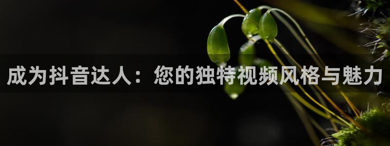 说球帝nba直播在线观看高清免费：成为抖音达人：您的独特视频风格与魅力